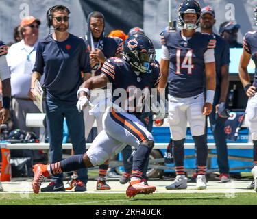 12. August 2023, Chicago, Illinois, USA: Chicago Bears Running Back Khalil Herbert (24) läuft nach einem kurzen Fang während des NFL-Fußballspiels zwischen den Chicago Bears und den Tennessee Titans in die Endzone. Stockfoto