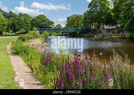 Der Fluss Aire bei Saltaire, Yorkshire. Der Fluss verläuft zwischen dem Roberts Park und dem historischen Dorf Saltaire (UNESCO-Weltkulturerbe). Stockfoto