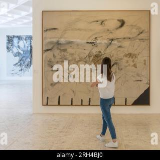 Rückblick auf eine Frau, die abstrakte Kunst im Rufino Tamayo Museum in Mexico City, Mexiko, betrachtet Stockfoto