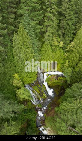 Aus der Vogelperspektive sehen Sie die beeindruckenden Panther Creek Falls, die durch den Gifford Pinchot National Forest in Washington fließen. Stockfoto