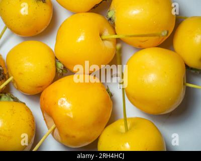 Frühe Auswahl an Äpfeln. Kleine gelbe Äpfel auf weißem Hintergrund. Sommerfrucht isolieren. Chinesisches Gold. Stockfoto