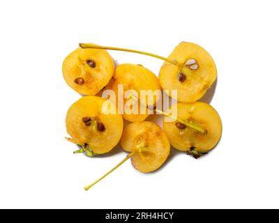 Frühe Auswahl an Äpfeln. Kleine gelbe Äpfel auf weißem Hintergrund. Sommerfrucht isolieren. Chinesisches Gold. Stockfoto