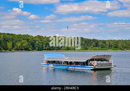 Strausberg, Deutschland. 11. Aug. 2023. Eine Seilfähre überquert den Straussee. Der See hat etwa zehn Jahre lang die Hälfte seines Wassers verloren. Seit 2014 ist der Wasserstand jedes Jahr um etwa 20 Zentimeter gesunken. Die Ursache für den Wasserverlust ist nicht bekannt. Zu diesem Thema wurde ein Sachverständigengutachten in Auftrag gegeben. Kredit: Patrick Pleul/dpa/Alamy Live News Stockfoto