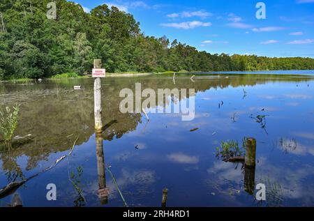 Strausberg, Deutschland. 11. Aug. 2023. Das Schild "Baden verboten" steht an der südlichen Spitze des Straussee im flachen Wasser. Der See hat etwa zehn Jahre lang die Hälfte seines Wassers verloren. Seit 2014 ist der Wasserstand jedes Jahr um etwa 20 Zentimeter gesunken. Die Ursache für den Wasserverlust ist nicht bekannt. Zu diesem Thema wurde ein Sachverständigengutachten in Auftrag gegeben. Kredit: Patrick Pleul/dpa/Alamy Live News Stockfoto