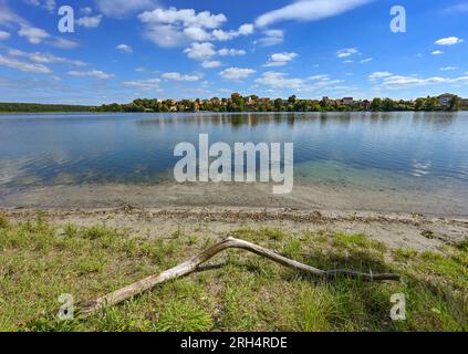 Strausberg, Deutschland. 11. Aug. 2023. Blick von der Westküste über den Straussee. Der See hat etwa zehn Jahre lang die Hälfte seines Wassers verloren. Seit 2014 ist der Wasserstand jedes Jahr um etwa 20 Zentimeter gesunken. Die Ursache für den Wasserverlust ist nicht bekannt. Zu diesem Thema wurde ein Sachverständigengutachten in Auftrag gegeben. Kredit: Patrick Pleul/dpa/Alamy Live News Stockfoto