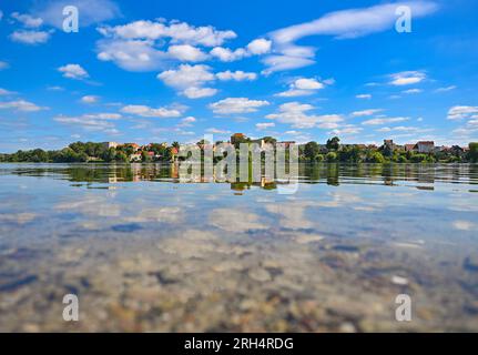 Strausberg, Deutschland. 11. Aug. 2023. Blick von der Westküste über den Straussee. Der See hat etwa zehn Jahre lang die Hälfte seines Wassers verloren. Seit 2014 ist der Wasserstand jedes Jahr um etwa 20 Zentimeter gesunken. Die Ursache für den Wasserverlust ist nicht bekannt. Zu diesem Thema wurde ein Sachverständigengutachten in Auftrag gegeben. Kredit: Patrick Pleul/dpa/Alamy Live News Stockfoto