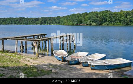 Strausberg, Deutschland. 11. Aug. 2023. Es gibt eine Anlegestelle fast zwei Meter von den Booten entfernt am Ufer des Straussees. Der See hat etwa zehn Jahre lang die Hälfte seines Wassers verloren. Seit 2014 ist der Wasserstand jedes Jahr um etwa 20 Zentimeter gesunken. Die Ursache für den Wasserverlust ist nicht bekannt. Zu diesem Thema wurde ein Sachverständigengutachten in Auftrag gegeben. Kredit: Patrick Pleul/dpa/Alamy Live News Stockfoto