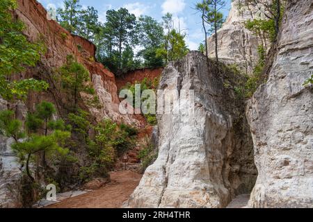 Providence Canyon State Park in Lumpkin, Georgia. (USA) Stockfoto