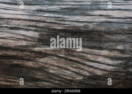Wunderschöne natürliche Muster und Texturen aus tagsüber grauer und brauner Rinde. Als Hintergrund verwenden Stockfoto