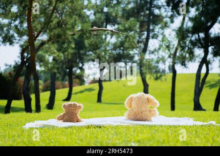 Zwei Teddybären für Kinder sitzen im Sommer auf dem Gras auf einem Feld in der Sonne in der Ukraine Stockfoto