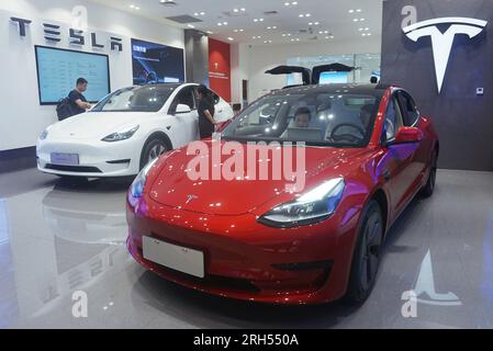 HANGZHOU, CHINA - 14. AUGUST 2023 - Kunden kaufen Elektroautos in einem Tesla Store in Hangzhou, Ostchina, Provinz Zhejiang, 14. August 2023. Auf der SA Stockfoto