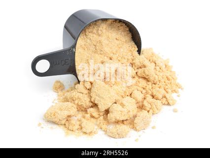 Carrageen oder Carrageenine isoliert auf weißem Hintergrund. Stockfoto