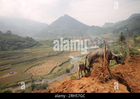 Das Leben in Asien wird in atemberaubenden Szenenbildern aufgenommen, während Sie alleine reisen Stockfoto