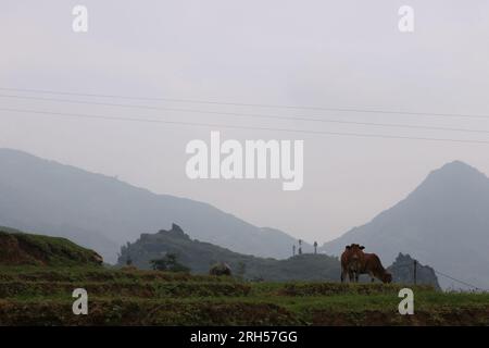 Das Leben in Asien wird in atemberaubenden Szenenbildern aufgenommen, während Sie alleine reisen Stockfoto