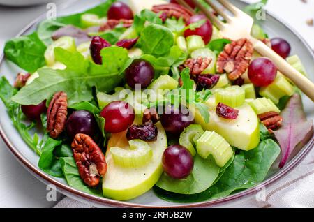 Waldorf Salat, frischer Apfelsalat mit Cranberry, Trauben, Sellerie, Pekannüsse und Salatmischung, Herbstsalat, Comfort Food Stockfoto