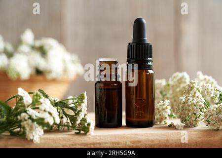 Zwei braune Flaschen ätherisches Aromatherapie-Öl mit frischen Schafgartenblumen auf einem Tisch Stockfoto