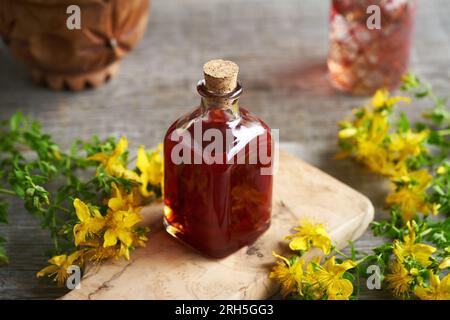 Eine Flasche roten Öl aus Johanniskraut Blumen frisch St. John's gemacht Stockfoto