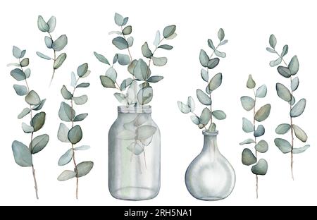 Eukalyptus, Blumenstrauß in einer Vase. Von Hand gezeichneter Clipart isoliert auf weißem Hintergrund Aquarell Blumenmuster Illustration Set grüne Blattnäste Kollektion, für Stockfoto