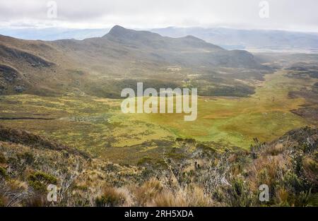 Blick vom Pfad nach Ruminahui, Cotopaxi National Park, Ecuador. Stockfoto