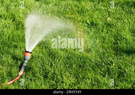 Wasser aus einer Gartensprühpistole auf dem Rasen Stockfoto