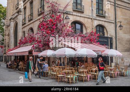 Le Paradis ist ein traditionelles Pariser Café in der Nähe des Centre Pompidou in der RUE SAINT MARTIN 76. Stockfoto