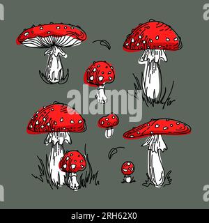 Fliegenagar, Amanita, nicht essbare giftige Pilze. Leuchtende Illustration im Cartoon-Stil. In Rot und Grün. Versammelt im Herbstwald. Für Stock Vektor