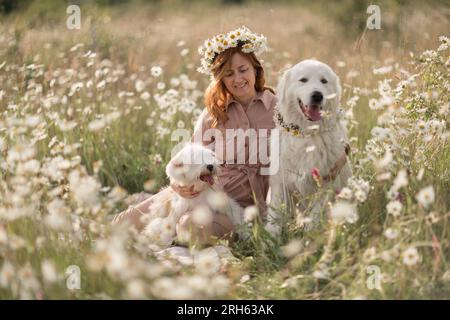 Weibliche Hunde Wiesen-Kamille. Die Frau umarmt ihre pelzigen Freunde auf einem ruhigen Kamillenfeld, umgeben von üppigem Grün. Ein herzerwärmendes Liebesbeweis Stockfoto