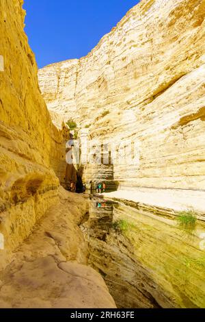 SDE Boker, Israel - 10. August 2023: Blick auf den Canyon des ein Avdat Nationalparks, eine Oase in der Negev-Wüste, Süd-Israel Stockfoto