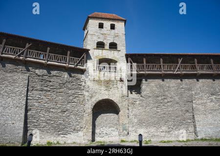 Mittelalterliche Stadtmauern der Altstadt von Tallinn, Estland Stockfoto