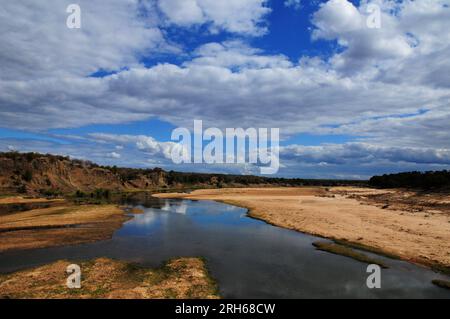 Der Kruger-Nationalpark in Südafrika bietet die Gelegenheit, die Flora und Fauna Afrikas in einer Umgebung zu sehen, die vom Menschen ungestört geblieben ist Stockfoto