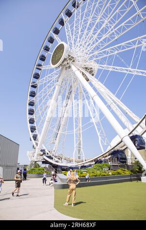 Navy Pier Centennial Rad mit Touristen und Weitwinkelobjektiv, Chicago, Illinois, USA Stockfoto