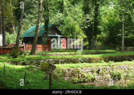 Forellenzucht in einem Wald, Szalajka-Tal, Bukk-Nationalpark, Bukk-Berge, Nordungarn Stockfoto