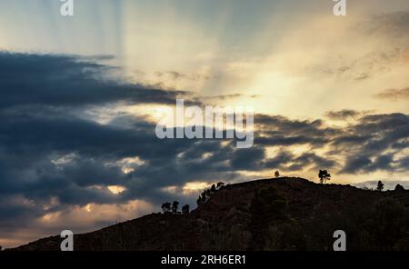 Sonnenuntergang in Griechenland, Region Chalkidiki. Silhouetten einer Kiefer auf einem Hügel. Stockfoto