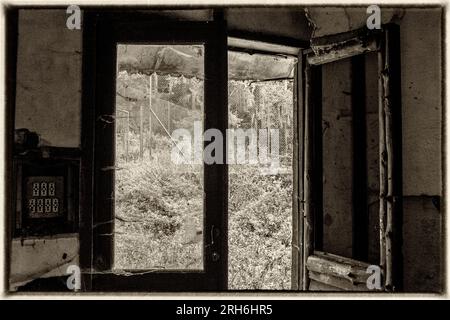 Friche industrielle dans les bois - Batiments a l'abandon emprisonnes par la nature, le lierre et les racines | Industrial Wasteland - Industrial bui Stockfoto