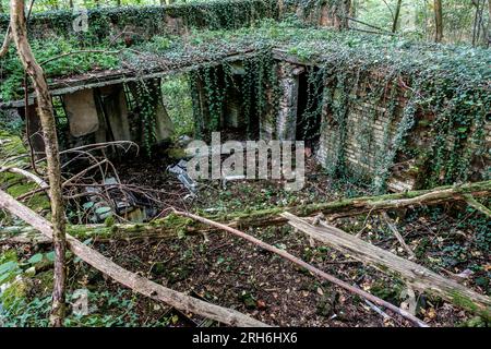 Friche industrielle dans les bois - Batiments a l'abandon emprisonnes par la nature, le lierre et les racines | Industrial Wasteland - Industrial bui Stockfoto