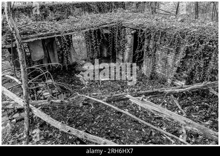 Friche industrielle dans les bois - Batiments a l'abandon emprisonnes par la nature, le lierre et les racines | Industrial Wasteland - Industrial bui Stockfoto