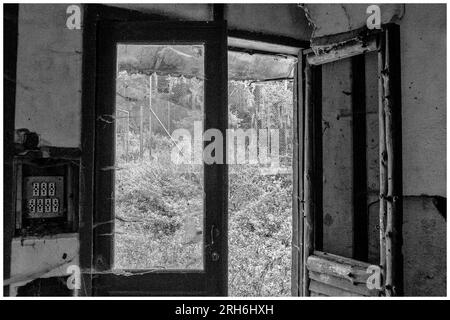 Friche industrielle dans les bois - Batiments a l'abandon emprisonnes par la nature, le lierre et les racines | Industrial Wasteland - Industrial bui Stockfoto