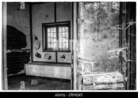 Friche industrielle dans les bois - Batiments a l'abandon emprisonnes par la nature, le lierre et les racines | Industrial Wasteland - Industrial bui Stockfoto