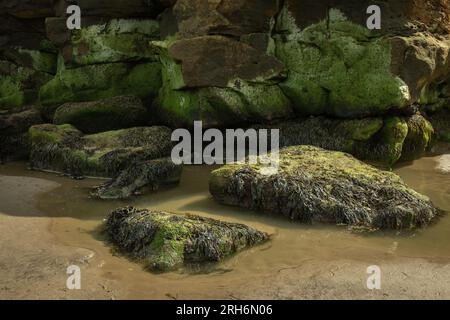 Whitby und Umgebung Stockfoto