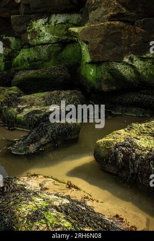 Whitby und Umgebung Stockfoto