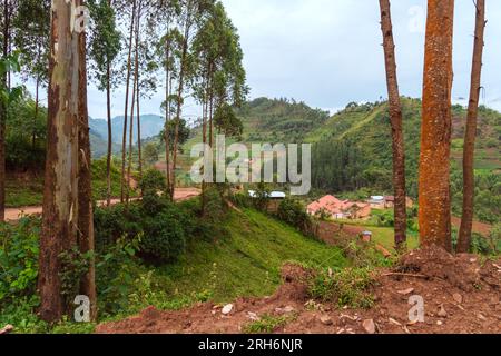 Straße durch die Landschaft von Uganda mit terrassenförmigen Feldern, in der Nähe von Kisoro Uganda Stockfoto