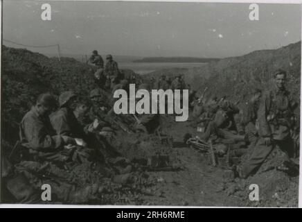 SS-Fotograf, Grönert, Hermann (Totenkopf, Russland und Italien 1943) Tiger I-Demonstration vor japanischen Offizieren; Winterkampf-Action mit Halbspuren, Flakpistole auf Halbspur und StuG III; russische Bevölkerung; viele Kampffotos der Infanterie in Russland mit Tiger IS, StuG, Marder und Panzerabwehrwaffen; russische Panzer zerstört und gefangen genommen; russische Kriegsgefangene; Soldaten, die Minen verlegen; Angriffsgewehre und Tiger sind in Italien mit Infanterie, Infanterieausbildung mit Mörsern und einem schwimmwagen, der den Fluss überquert Stockfoto