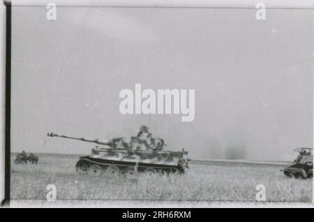 SS-Fotograf, Grönert, Hermann (Totenkopf, Russland und Italien 1943) Tiger I-Demonstration vor japanischen Offizieren; Winterkampf-Action mit Halbspuren, Flakpistole auf Halbspur und StuG III; russische Bevölkerung; viele Kampffotos der Infanterie in Russland mit Tiger IS, StuG, Marder und Panzerabwehrwaffen; russische Panzer zerstört und gefangen genommen; russische Kriegsgefangene; Soldaten, die Minen verlegen; Angriffsgewehre und Tiger sind in Italien mit Infanterie, Infanterieausbildung mit Mörsern und einem schwimmwagen, der den Fluss überquert Stockfoto