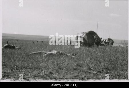 SS-Fotograf, Grönert, Hermann (Totenkopf, Russland und Italien 1943) Tiger I-Demonstration vor japanischen Offizieren; Winterkampf-Action mit Halbspuren, Flakpistole auf Halbspur und StuG III; russische Bevölkerung; viele Kampffotos der Infanterie in Russland mit Tiger IS, StuG, Marder und Panzerabwehrwaffen; russische Panzer zerstört und gefangen genommen; russische Kriegsgefangene; Soldaten, die Minen verlegen; Angriffsgewehre und Tiger sind in Italien mit Infanterie, Infanterieausbildung mit Mörsern und einem schwimmwagen, der den Fluss überquert Stockfoto