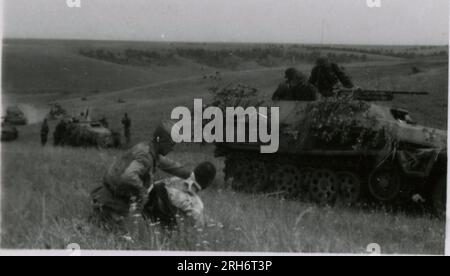 SS-Fotograf, Grönert, Hermann (Totenkopf, Russland und Italien 1943) Tiger I-Demonstration vor japanischen Offizieren; Winterkampf-Action mit Halbspuren, Flakpistole auf Halbspur und StuG III; russische Bevölkerung; viele Kampffotos der Infanterie in Russland mit Tiger IS, StuG, Marder und Panzerabwehrwaffen; russische Panzer zerstört und gefangen genommen; russische Kriegsgefangene; Soldaten, die Minen verlegen; Angriffsgewehre und Tiger sind in Italien mit Infanterie, Infanterieausbildung mit Mörsern und einem schwimmwagen, der den Fluss überquert Stockfoto