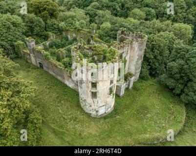 Blick aus der Vogelperspektive auf die Ruine und das überwucherte Buttevant oder Barrys Schloss am Awbeg River in der Grafschaft Cork Irland mit großen runden Türmen Stockfoto