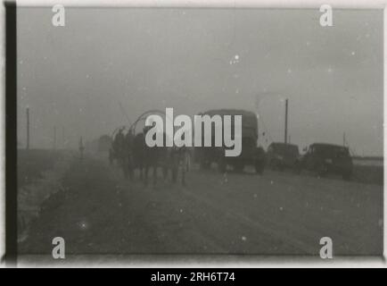 SS-Fotograf, Grönert, Hermann (Totenkopf, Russland und Italien 1943) Tiger I-Demonstration vor japanischen Offizieren; Winterkampf-Action mit Halbspuren, Flakpistole auf Halbspur und StuG III; russische Bevölkerung; viele Kampffotos der Infanterie in Russland mit Tiger IS, StuG, Marder und Panzerabwehrwaffen; russische Panzer zerstört und gefangen genommen; russische Kriegsgefangene; Soldaten, die Minen verlegen; Angriffsgewehre und Tiger sind in Italien mit Infanterie, Infanterieausbildung mit Mörsern und einem schwimmwagen, der den Fluss überquert Stockfoto