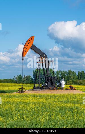 Ein Kürbiskerl extrahiert Öl aus einem Brunnen im ländlichen Saskatchewan. Stockfoto