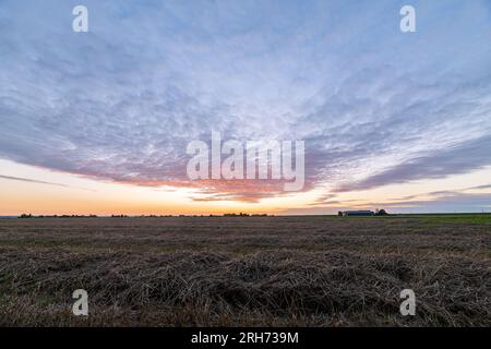 Bunte Altocumulus-Wolken über einer weiten Landschaft bei Sonnenuntergang Stockfoto
