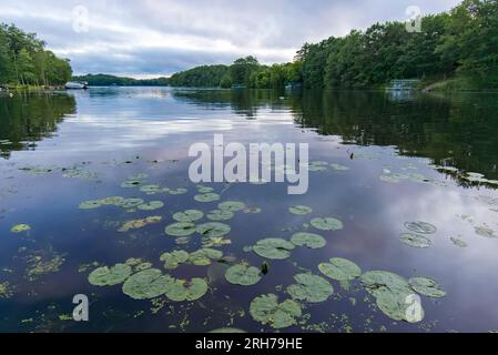 Aufgenommen in Washburn County, Wisconsin. Stockfoto